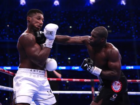 Joshua in Wilder: možen boj po scenariju Turki Al-Sheikh