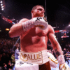 Canelo proti Skullu: Bitka za popolno prevlado v supersrednji kategoriji